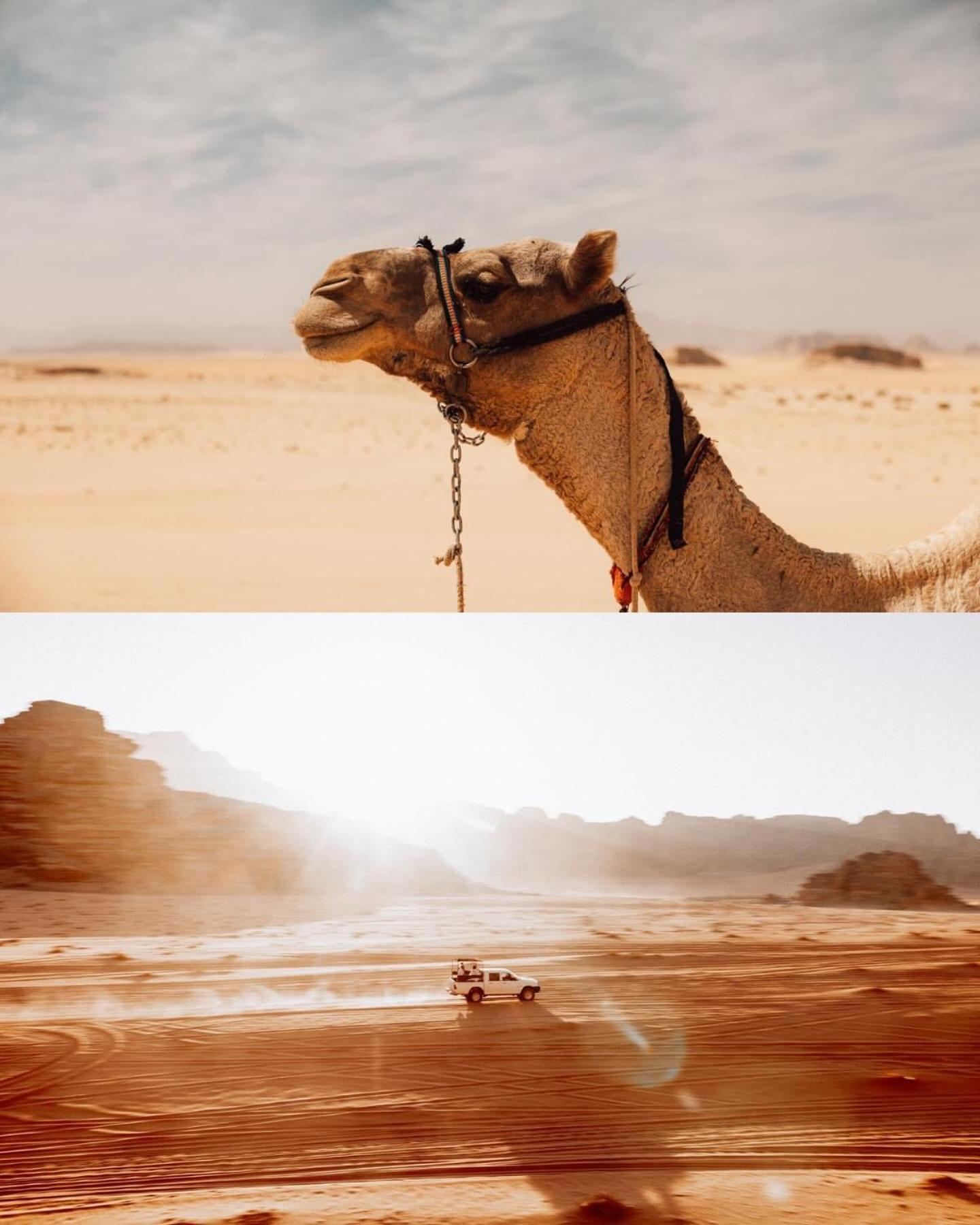 Rum Luxury Camp Wadi Rum Zewnętrze zdjęcie