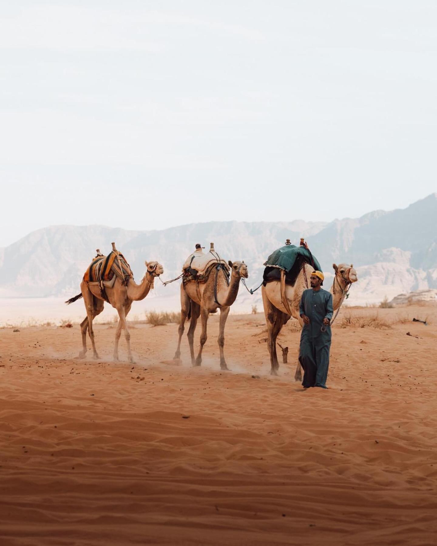 Rum Luxury Camp Wadi Rum Zewnętrze zdjęcie